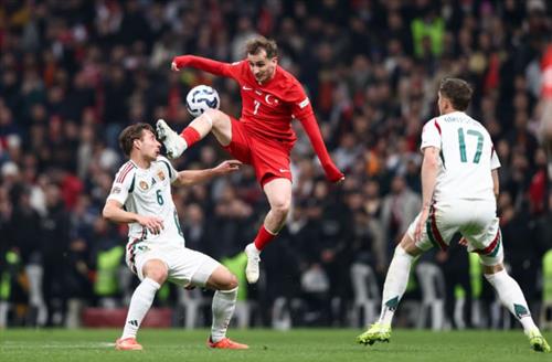 Expert Betting Cricket Tips for Winning Big